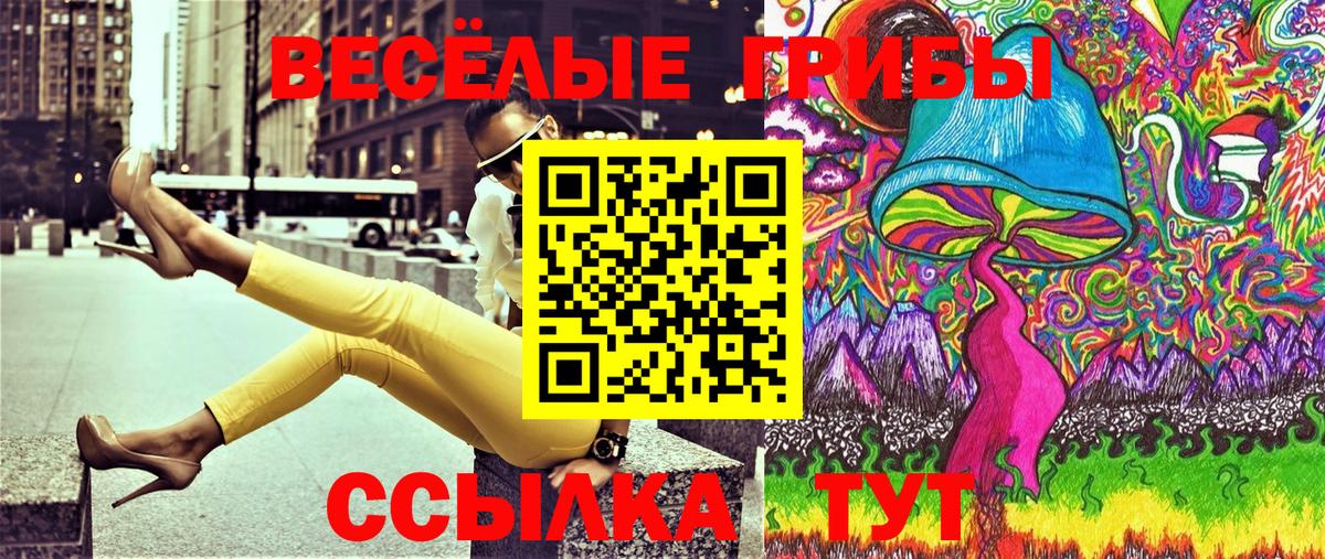 Псилоцибиновые грибы ЛСД Тамбов